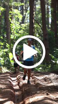 BIB:  <button type="button" onclick="openModal(26569470)" class="btn btn-primary btn-sm float-right" data-toggle="modal" data-target=".modal-high-quality">
                <i class="fa fa-download"></i> Download
                </button>